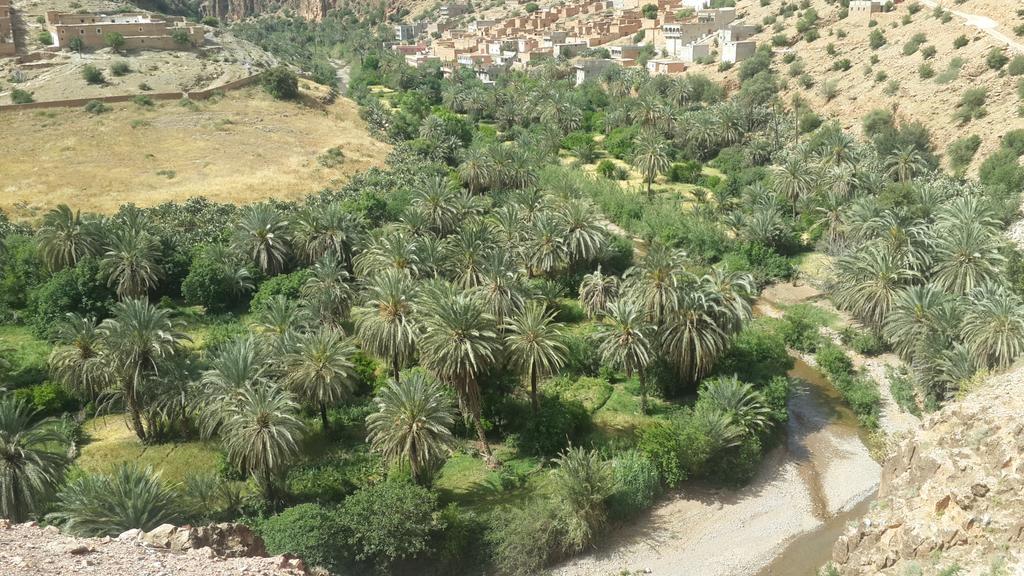 Апартаменты Oasis De Tiout Экстерьер фото